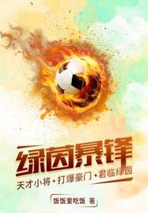 王者大陆之白夜记