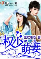 木叶无言