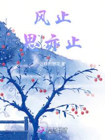 不可能爱恋