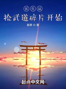 莱伊诺姆大陆