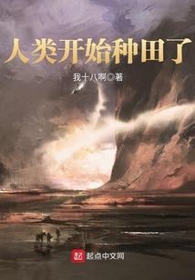 次元大时代