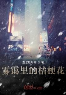 苍寂愿想的拼凑