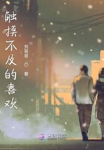 镜仙之途