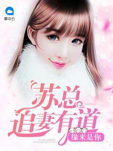 九州风云纪