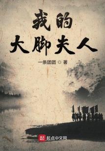 总裁的豪门前妻