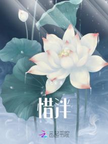 穿越之盛世凰权