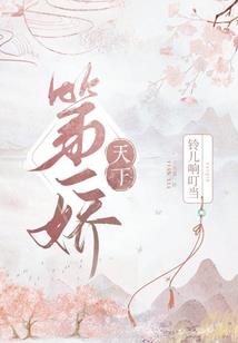 我能看见代码框