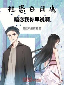 逆光的大洋彼岸