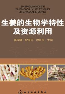 斗灵传世