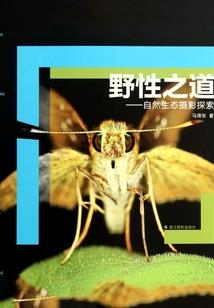 傻妃玩转天下