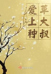 斗破苍穹之神尊萧炎