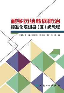你好,陌生人伊伊