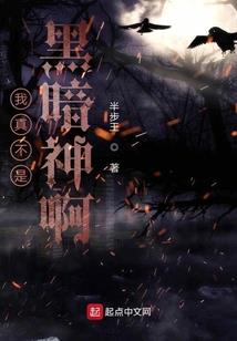 系统清洁工