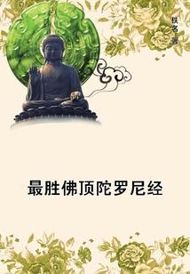 半寸韶光