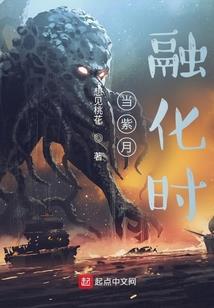 帝国总裁独宠神偷妻
