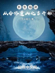 刀剑乱舞的不淡定佛系少女