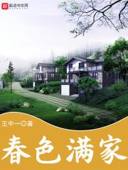 奥卡之洲