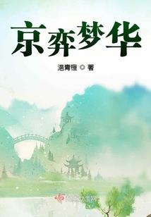大佬求关照