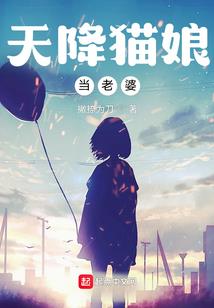 唐晨的武道之路