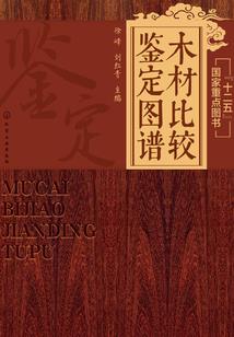 天魔八诀