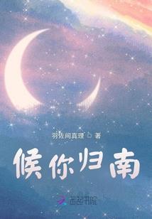憨子少将调皮妻