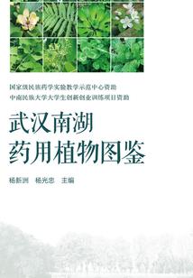 海贼王我的警官是个大路痴