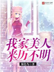 穿越唐朝做太子妃