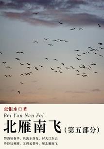 暗冥夜觞