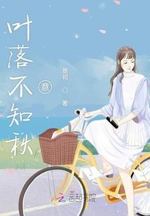 流星飞雨
