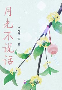 最后的圣堂骑士