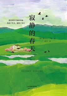 重生之假青梅真竹马