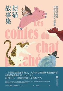 某不良的时光倒流