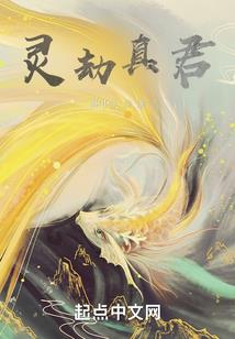 枕流石诗词集