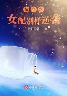 全职里的佣兵之王