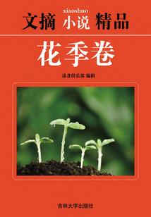 落星之光