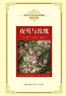 异界之召唤崛起