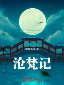 蓝石泪