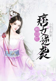二小姐的特价保镖