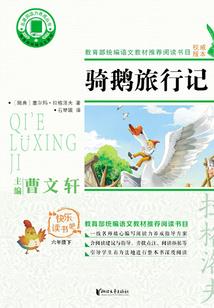 特工世子妃