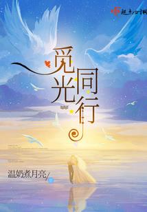 雪夜追击者