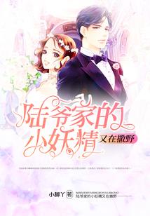 守护甜心之回归的公主