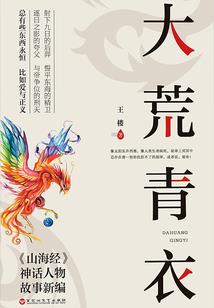 反叛侦探