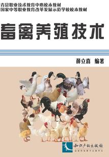 吞噬万物，月夜之下