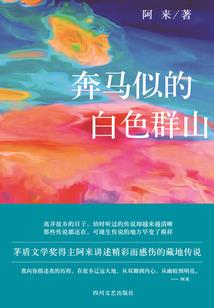 木辰子星