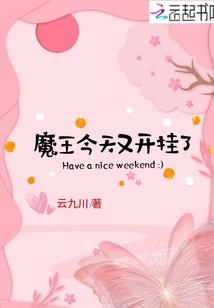 魔法少女燕南飞