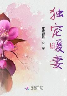 口袋妖怪之异世商店