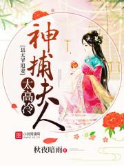 神奇宝贝之暗夜楼