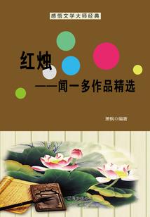 血战九天风起灵武