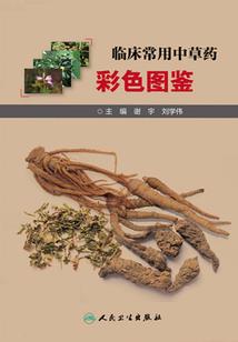 我在异世界的武器库系统