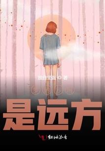 会空间魔法的贼